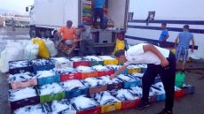 تراجع مفرغات الصيد بالسواحل المتوسطية بـ 30 في المائة