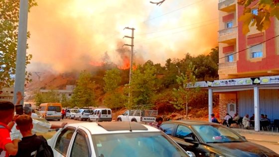 اندلاع حريق مهول في غابة مركز “إكاون” بالحسيمة