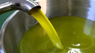 رسميا.. الحكومة تقيّد تصدير زيت الزيتون للحد من ارتفاع أسعاره بالمغرب