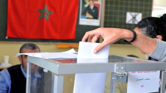 اجراء انتخابات جزئية لشغل 12 مقعدًا في 8 جماعات ترابية بالحسيمة