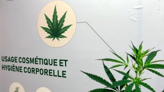 عرض منتجات القنب الهندي في المعرض الدولي للفلاحة بمكناس