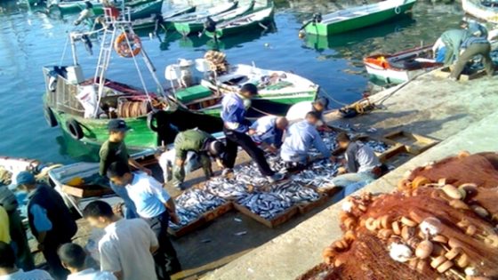 ارتفاع كميات مفرغات الصيد البحري بميناء الحسيمة بنسبة 12%
