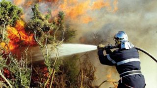 سرعة التدخل تمكن من إخماد حريق غابوي بجبل “أغاندرو” بإقليم الحسيمة