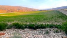 تراكم الأوحال والأشجار يثير القلق حول سلامة سد الخطابي بالحسيمة