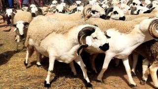 xr:d:DADo8glfs9U:5439,j:48040423868,t:23052712