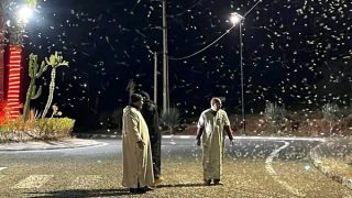 بلاغ هام لوزارة الداخلية بشأن مواجهة انتشار الجراد