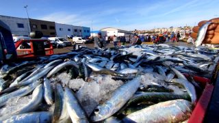 احتكار المضاربين يهزم رقابة السلطات في أسواق الحسيمة