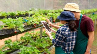 المعهد التقني الفلاحي بالحسيمة يقدم العرض التكويني لفائدة الشباب