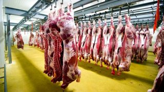 إغلاق المجزرة الجماعاتية بالحسيمة قبل عيد الأضحى وبعده بـ12 يوما