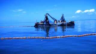 اطلاق صفقة بقيمة 8.8 مليار سنتيم لمواجهة “النيكرو” بالواجهة المتوسطية