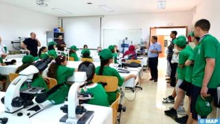 الحسيمة.. ورشة مدرسية للتوعية بأهمية إعادة التدوير وحماية البيئة