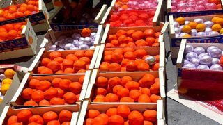 طنجة.. إجهاض محاولة تهريب أزيد من أربعة أطنان من “الحشيش”