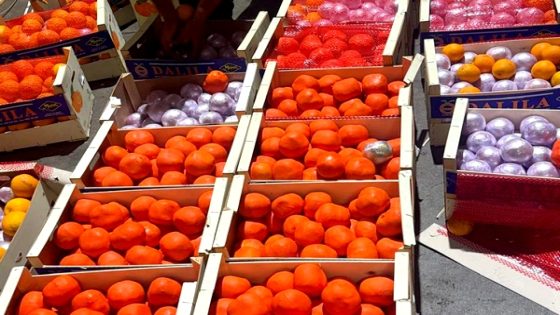 طنجة.. إجهاض محاولة تهريب أزيد من أربعة أطنان من “الحشيش”