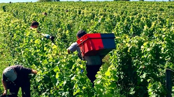شركات فلاحية فرنسية تبحث عن عمال موسميين من الحسيمة