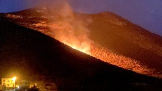 فرق الإطفاء تسيطر على حريق غابوي بجبل “تفنسة” بإقليم الحسيمة