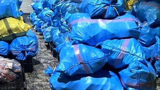 إحباط تهريب أزيد من 8 أطنان من الحشيش بميناء طنجة المتوسط