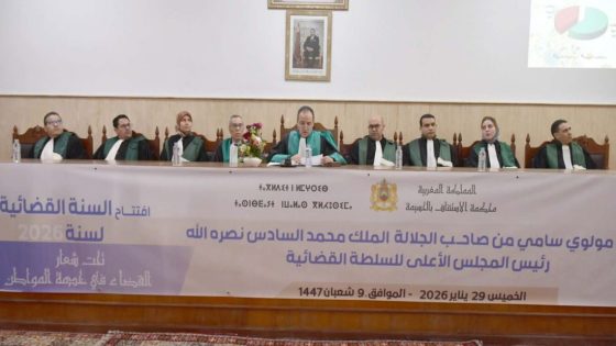 القضاء بالحسيمة يحسم أزيد من 27 ألف قضية في 2025 ويحقق تصفية بنسبة 100%