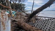 الحسيمة.. أمواج شاطئ السواني تجتاح الغابة وتقتلع عددًا من الأشجار