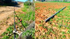 الشركة الجهوية تعتمد على سرعة استخلاص الفواتير وبطء إصلاح الأعمدة الكهربائية