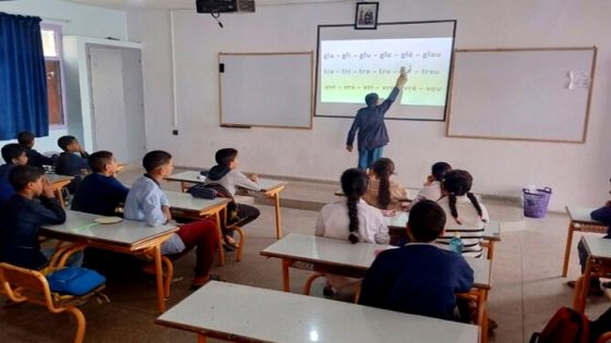 وزارة التعليم تستنفر الأكاديميات لتنزيل مخططات التكوين المستمر لـ”مؤسسات الريادة”