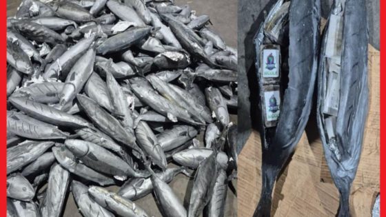 إحباط تهريب أزيد من 3.9 أطنان من الشيرا بميناء طنجة المتوسط