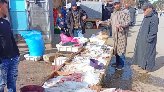 مطالب برلمانية بتجهيز سوق عصري للسمك بجماعة إساكن بالحسيمة