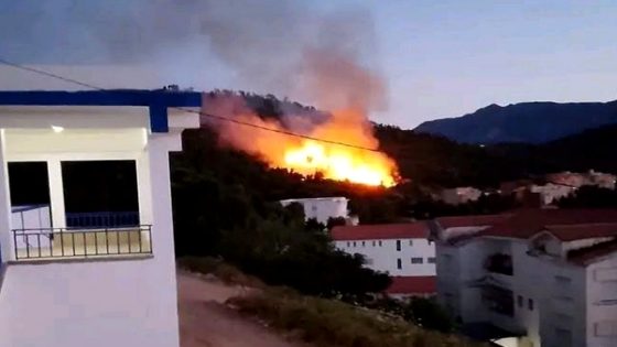 الحسيمة.. حريق غابوي يستنفر السلطات بجماعة عبد الغاية السواحل